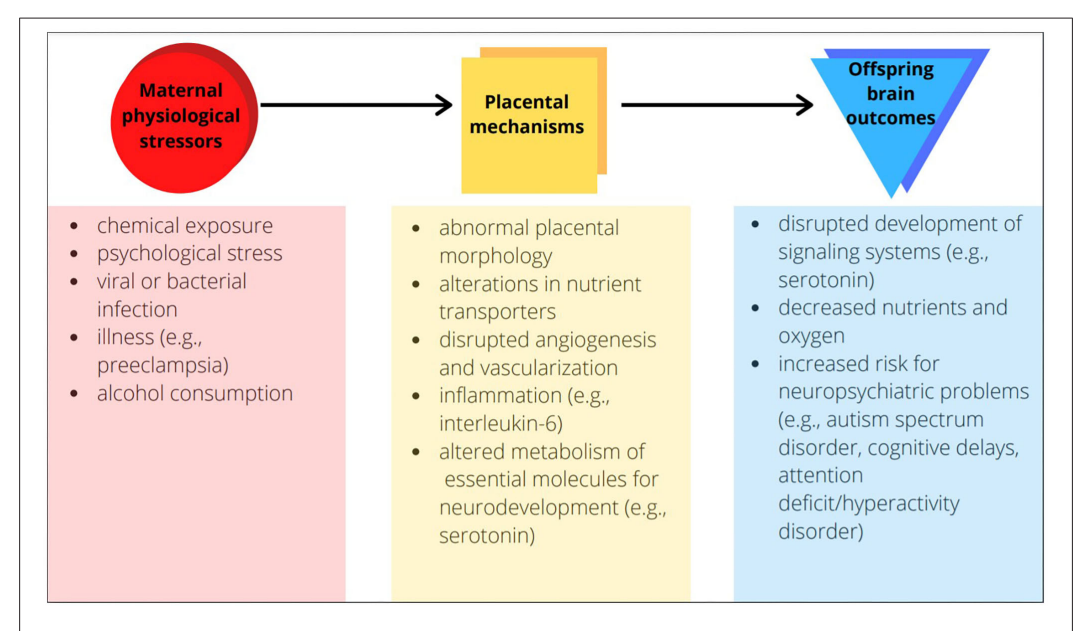 Diagram

Description automatically generated