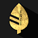 Gold Leaf  icon