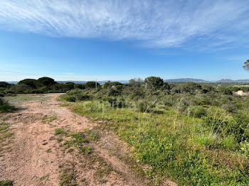 terrain à Roquebrune-sur-Argens (83)