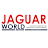 Jaguar World icon