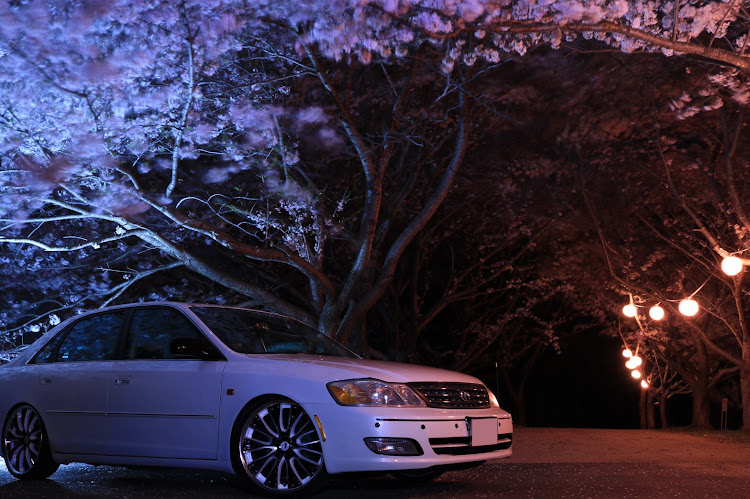 プロナードの丸山公園・夜桜🌸とプロナード・仲良しの(な)・仲良しお喋り隊・楽しいが1番‼️👍🏻に関するカスタム事例の投稿画像5枚目