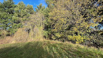 terrain à Coutarnoux (89)