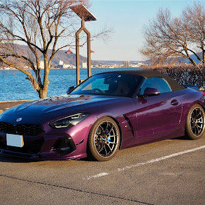 Z4 ロードスター G29