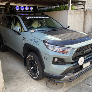 RAV4 MXAA54