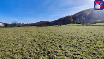 terrain à Montjoie-en-Couserans (09)