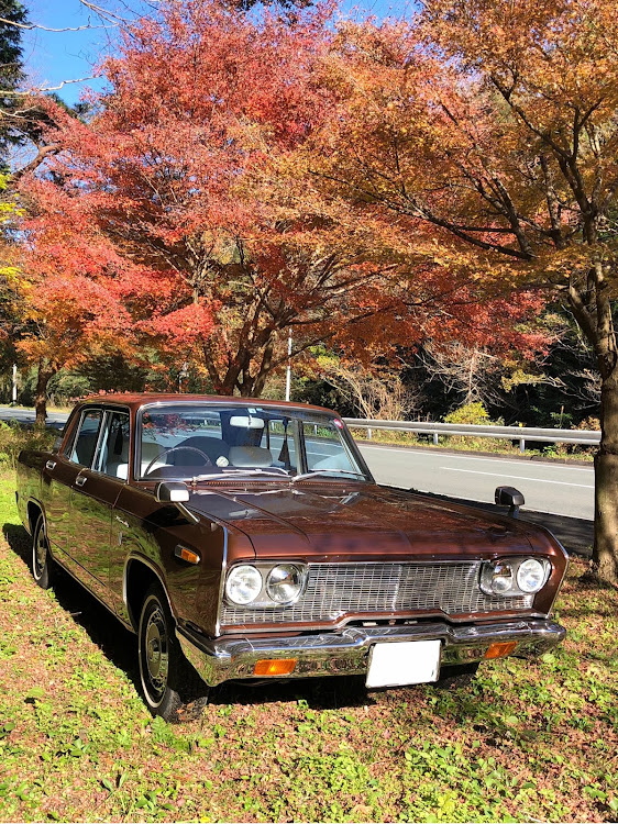 デボネアの旧車・デボネアに関するカスタム事例の投稿画像1枚目