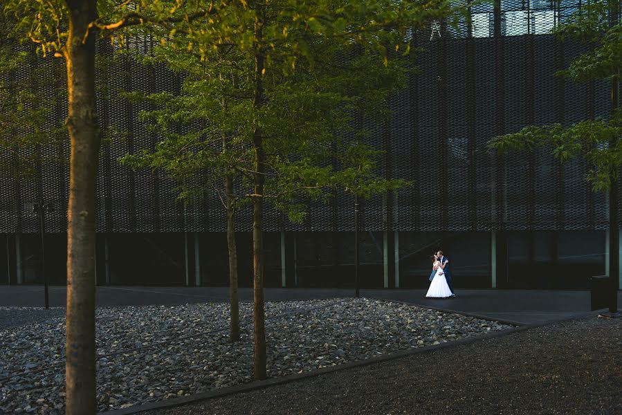 Fotografo di matrimoni Maciej Niesłony (magichour). Foto del 15 dicembre 2015