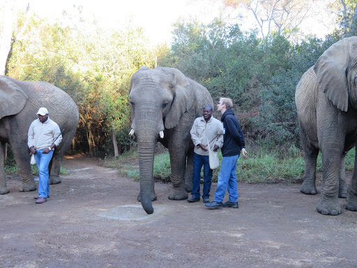 Elephants Rescue & Refuge South Africa 2017