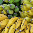 Ripe bananas