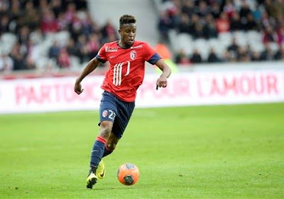 Lille en Ligue des Champions