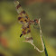 Halloween Pennant