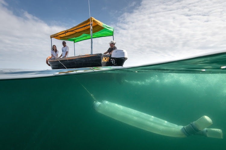 Marine biologist Kerstin Forsberg and her team from Planeta Oceano collect plankton for analysis to assist with the conservation of giant manta rays.