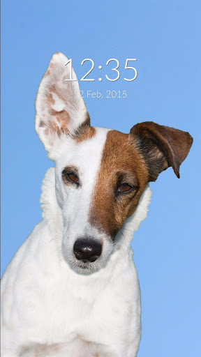 Smooth Fox Terrier Wall Lock