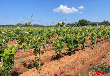 Vineyard with pool and outbuildings 3