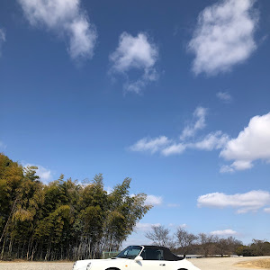 964 カレラ2