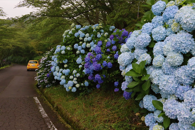 の投稿画像1枚目