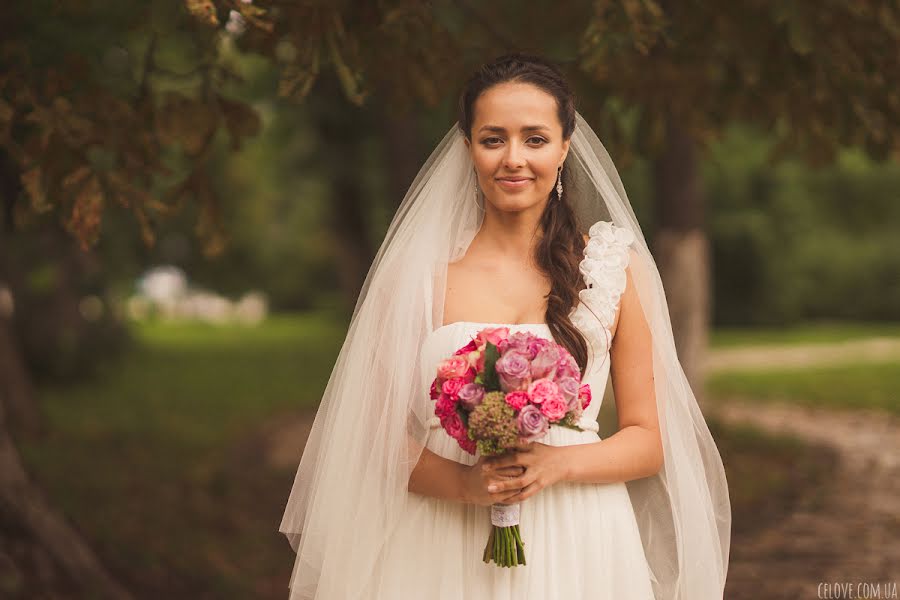 Photographe de mariage Anna Gorbenko (annagorbenko). Photo du 28 janvier 2014