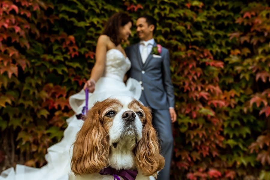 Fotógrafo de casamento Isabelle Hattink (fotobelle). Foto de 25 de novembro 2016