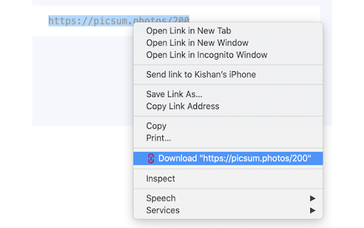 Text URL Downloader