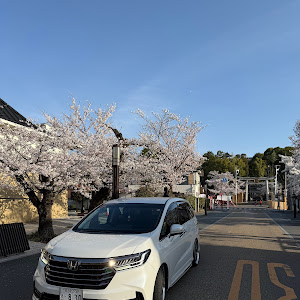 オデッセイ RC4
