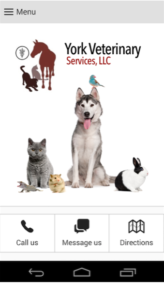 York Vet Screen 3
