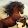 Horse games and Pony jigsaw puzzle for kids 🐎🐴🧩 icon