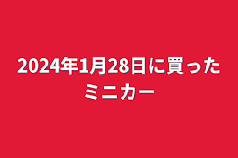 2024年1月28日に買ったミニカー