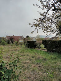 terrain à Milly-la-Forêt (91)