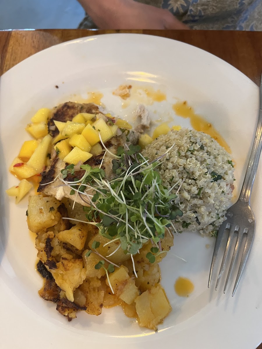 Mahimahi plate