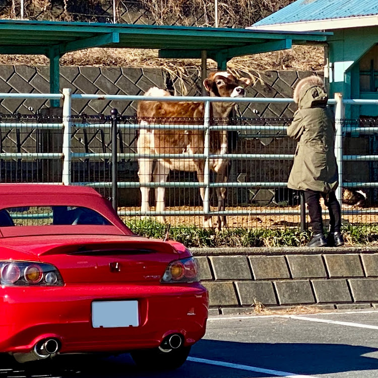 S2000の徘徊日記・山伏峠尻振りダンス・彩の国ふれあい牧場,羊山公園・SHTC・有間ダム屋根無車聖地化計画に関するカスタム事例の投稿画像4枚目