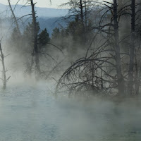 Nebbiacqua di 