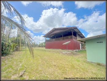 maison à Kourou (973)