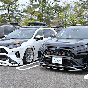 RAV4 AXAP54
