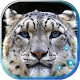 Snow Leopard Bars live wallpaper Download on Windows