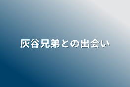 灰谷兄弟との出会い