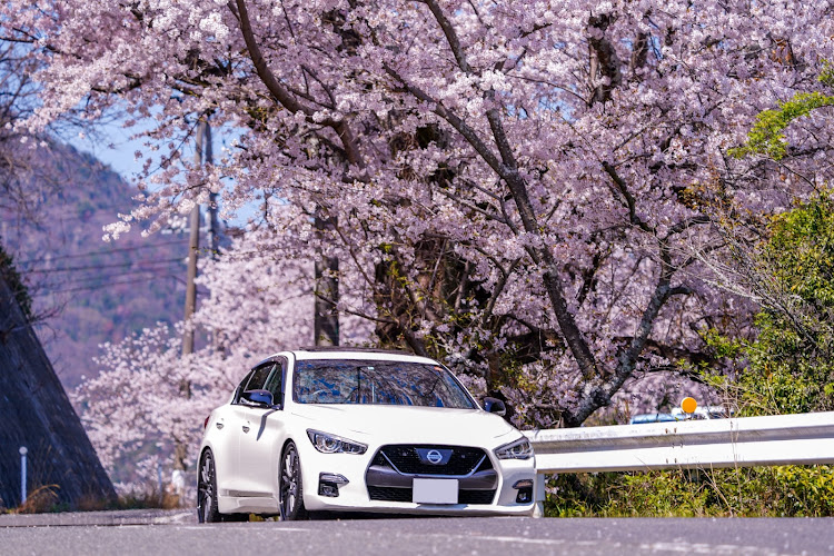 スカイラインのCIMA Y51・桜・discover＿ct・discover_cartuneに関するカスタム事例の投稿画像1枚目