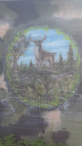 Deer Mural