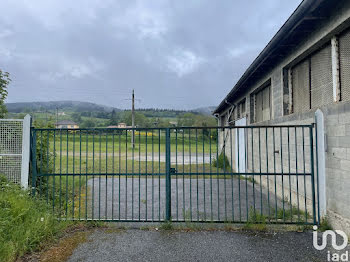 maison à Saint-Priest-la-Prugne (42)