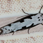 Bordered Ermel