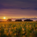 sunset in the fields