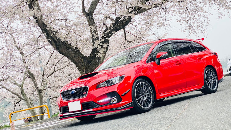レヴォーグのレヴォーグ・STI・桜・ますます車高調欲しくなった・桜と愛車に関するカスタム事例の投稿画像1枚目