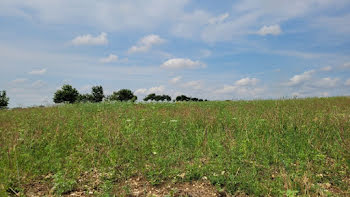 terrain à Dompierre-sur-Mer (17)