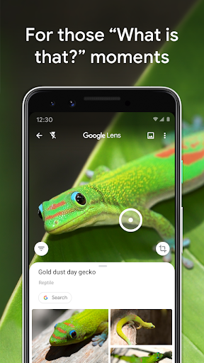 Google Lens screenshot #7