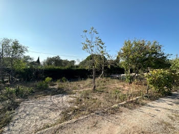 terrain à Puget-sur-Argens (83)