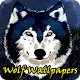 Download Amelod Wolf's 4K Wallpapers For PC Windows and Mac 1.0.