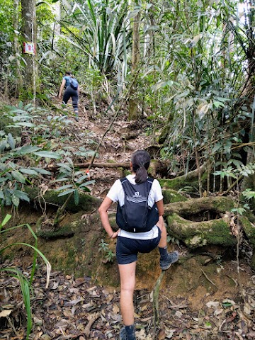 Bukit Kutu via Ampang Pecah Old Colonial Route hiking