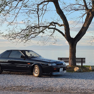 スカイライン R31