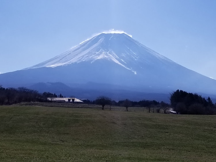 の投稿画像2枚目