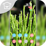 Cover Image of Herunterladen 清新植物露珠主题 2.0 APK