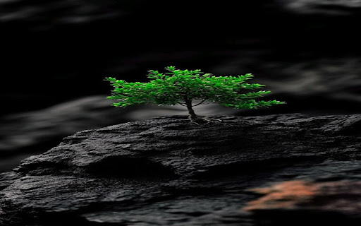 vibrant wallpaper screenshot 1